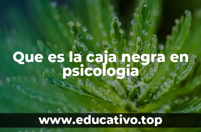 Que es la caja negra en psicologia