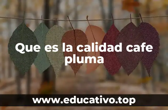 Que es la calidad cafe pluma
