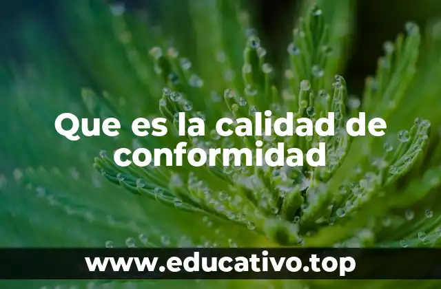 Que es la calidad de conformidad