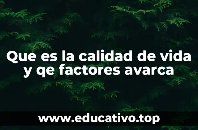 Que es la calidad de vida y qe factores avarca