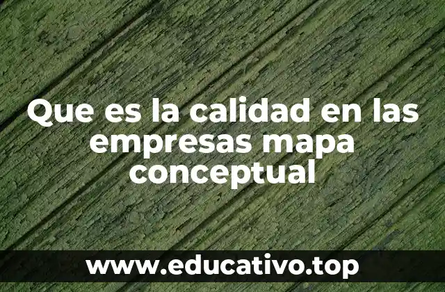 Que es la calidad en las empresas mapa conceptual