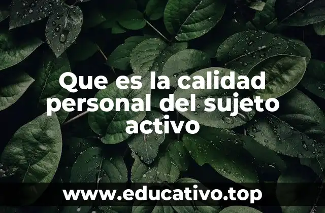 Que es la calidad personal del sujeto activo