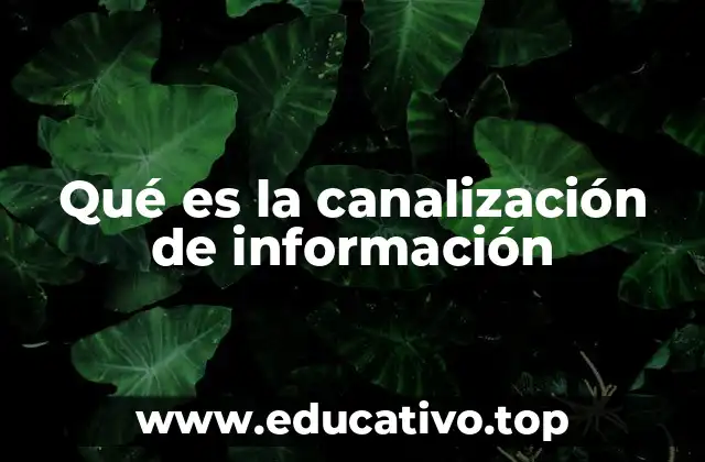 Qué es la canalización de información