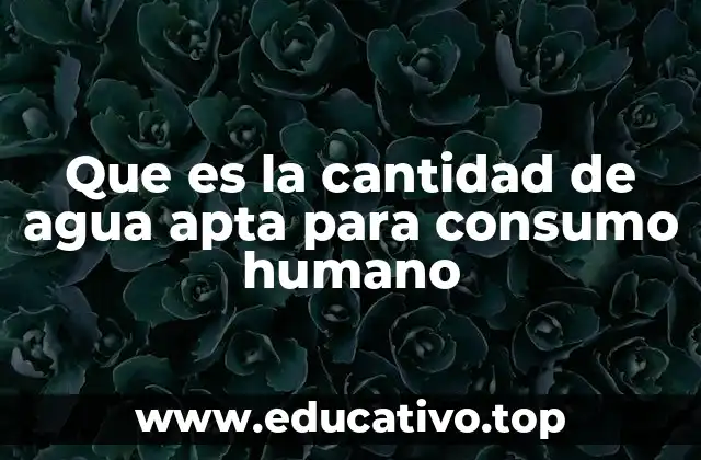 Que es la cantidad de agua apta para consumo humano