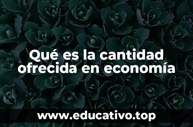 Qué es la cantidad ofrecida en economía