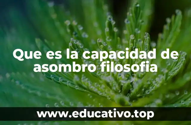 Que es la capacidad de asombro filosofia