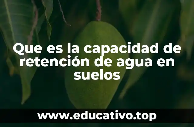 Que es la capacidad de retención de agua en suelos