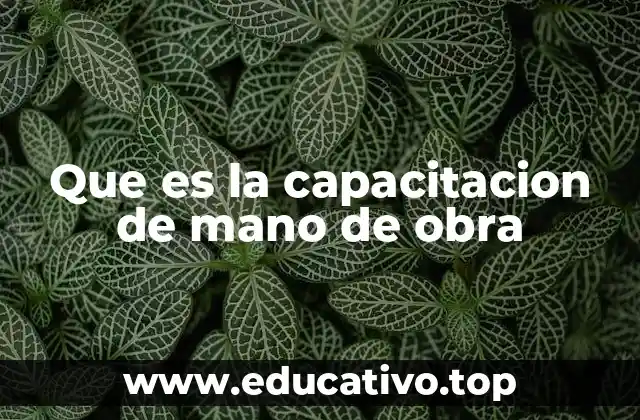 Que es la capacitacion de mano de obra