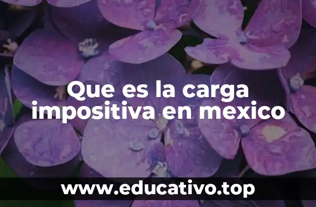 Que es la carga impositiva en mexico