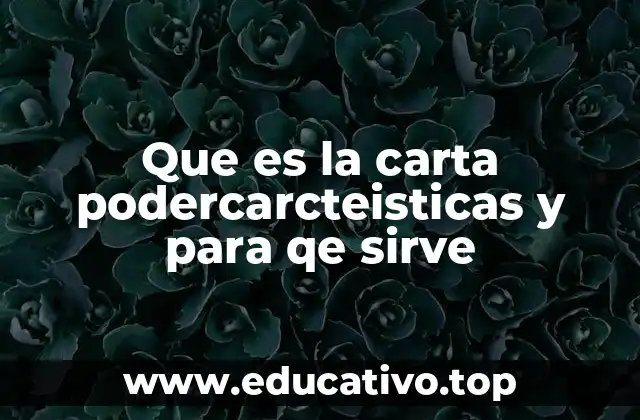 Que es la carta podercarcteisticas y para qe sirve