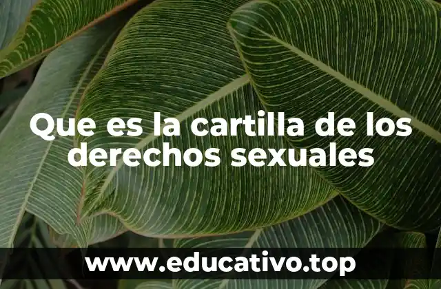 La importancia de la educación sexual en el contexto moderno