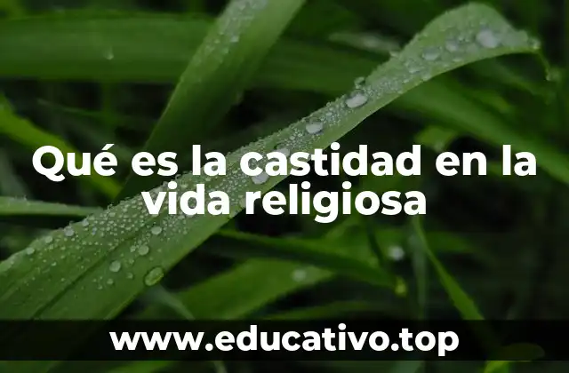 La castidad como forma de consagración espiritual