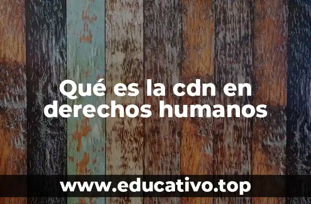 Qué es la cdn en derechos humanos