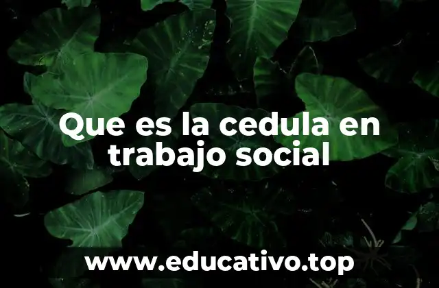 Que es la cedula en trabajo social