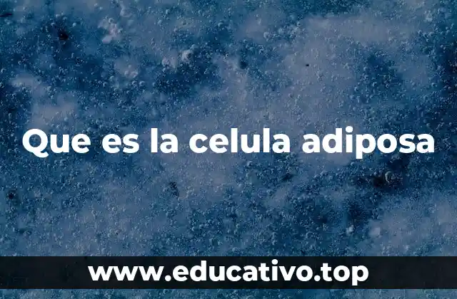 Que es la celula adiposa