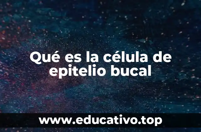 Estructura y tipos de células del epitelio bucal