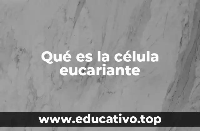 Qué es la célula eucariante