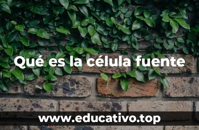 Qué es la célula fuente
