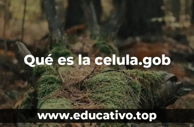 Qué es la celula.gob