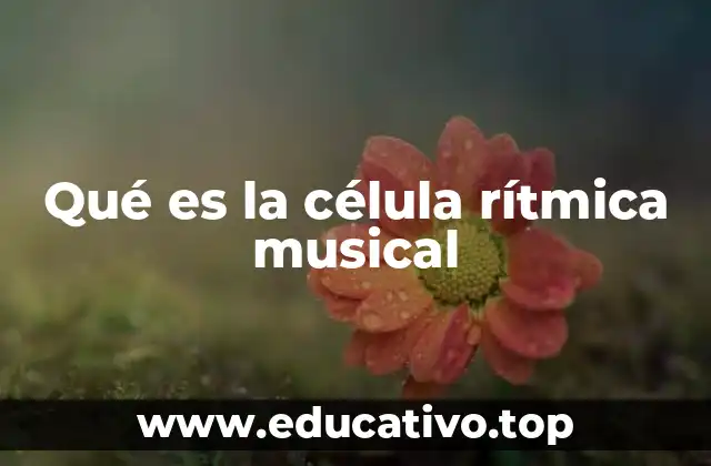 Qué es la célula rítmica musical