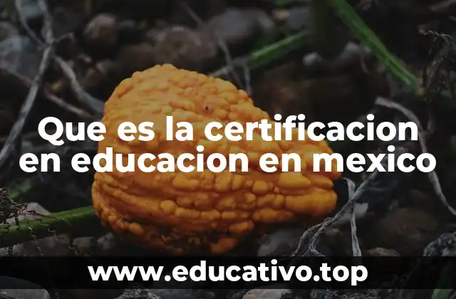 Que es la certificacion en educacion en mexico