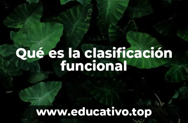 Qué es la clasificación funcional