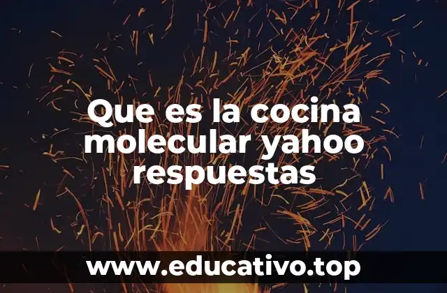Que es la cocina molecular yahoo respuestas