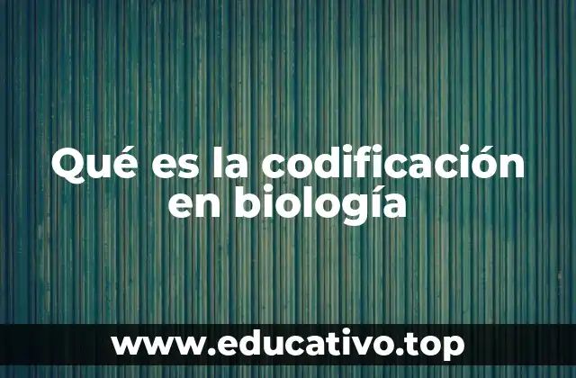 Qué es la codificación en biología