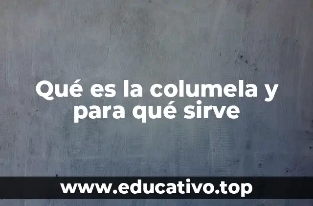 Qué es la columela y para qué sirve