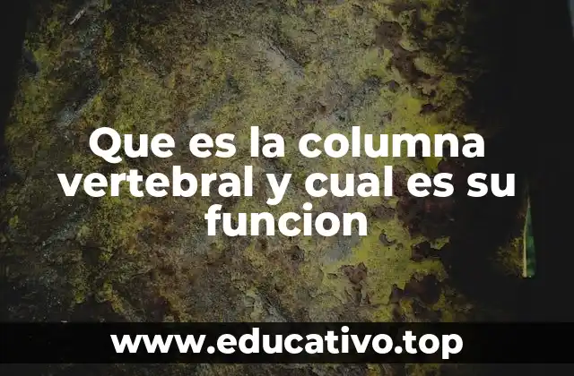La columna como eje central del cuerpo