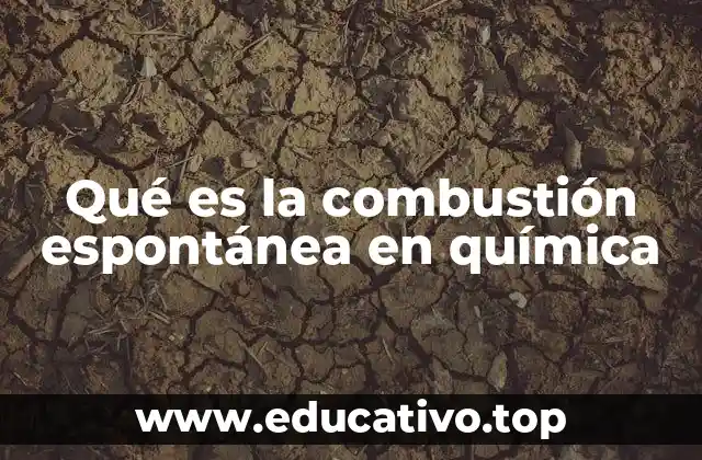 Qué es la combustión espontánea en química
