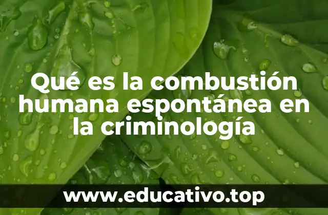 Qué es la combustión humana espontánea en la criminología