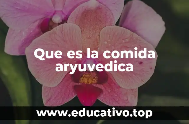 Orígenes y filosofía detrás de la comida aryuvedica