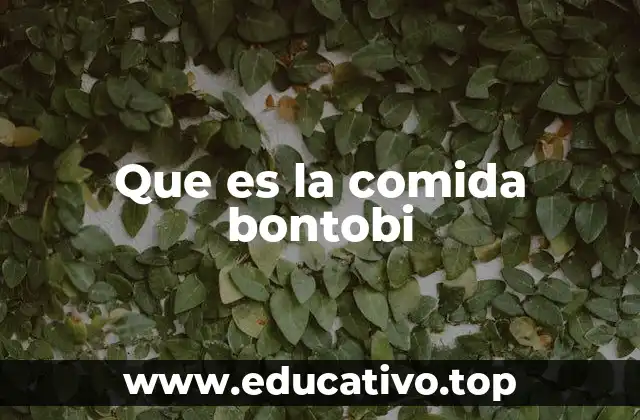 Que es la comida bontobi