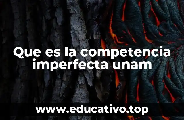 Que es la competencia imperfecta unam