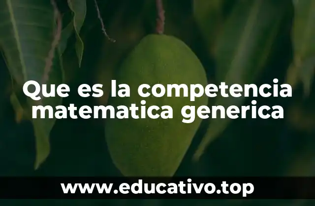 Que es la competencia matematica generica