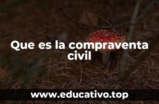 Que es la compraventa civil