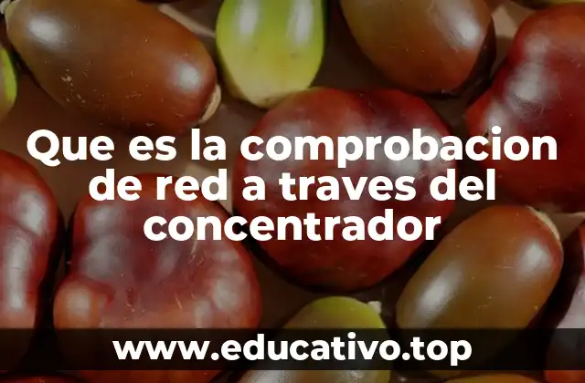 Que es la comprobacion de red a traves del concentrador