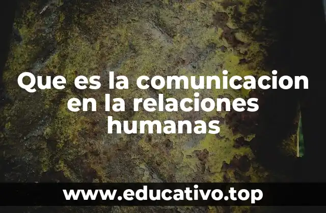 La base de las conexiones humanas