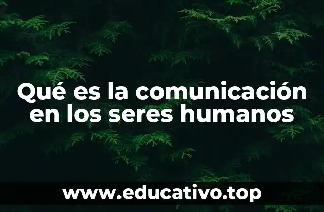 La importancia de la interacción social