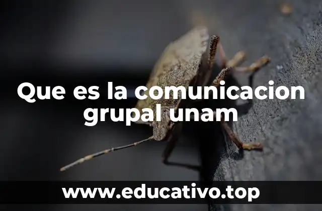 Que es la comunicacion grupal unam