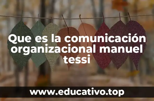 Que es la comunicación organizacional manuel tessi