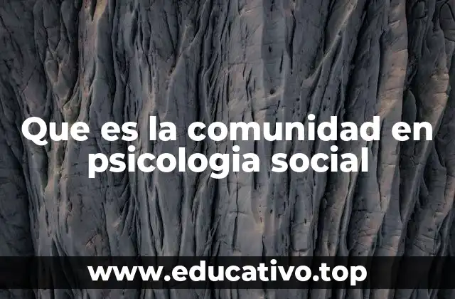 Que es la comunidad en psicologia social