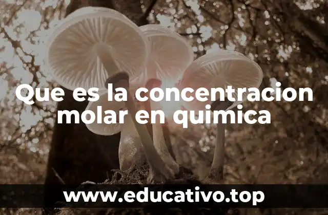 Que es la concentracion molar en quimica