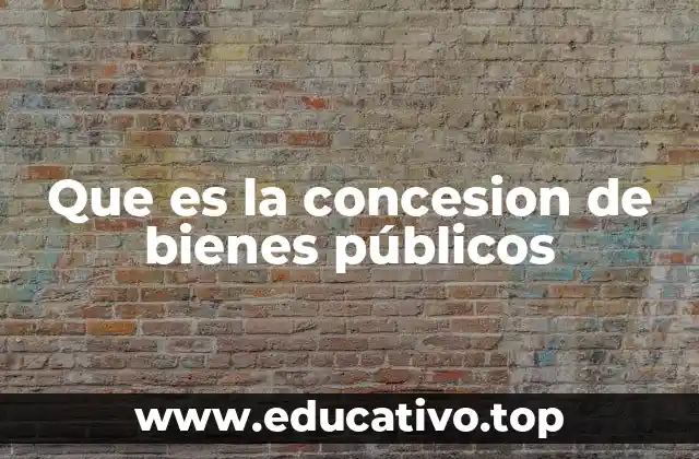 Que es la concesion de bienes públicos