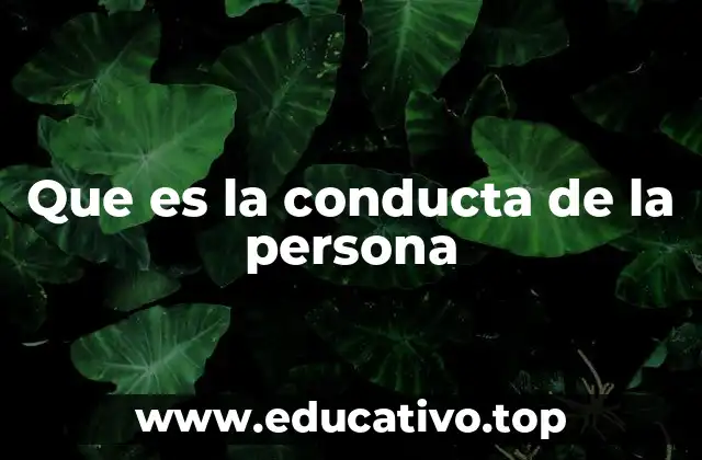 Que es la conducta de la persona