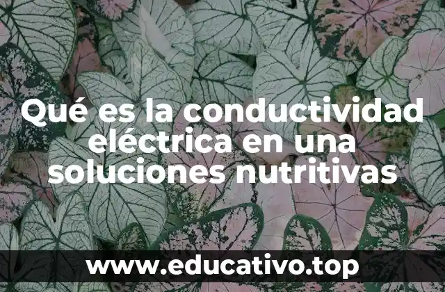 Qué es la conductividad eléctrica en una soluciones nutritivas