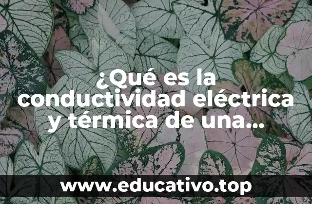 ¿Qué es la conductividad eléctrica y térmica de una computadora?