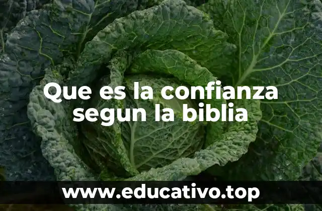 Que es la confianza segun la biblia