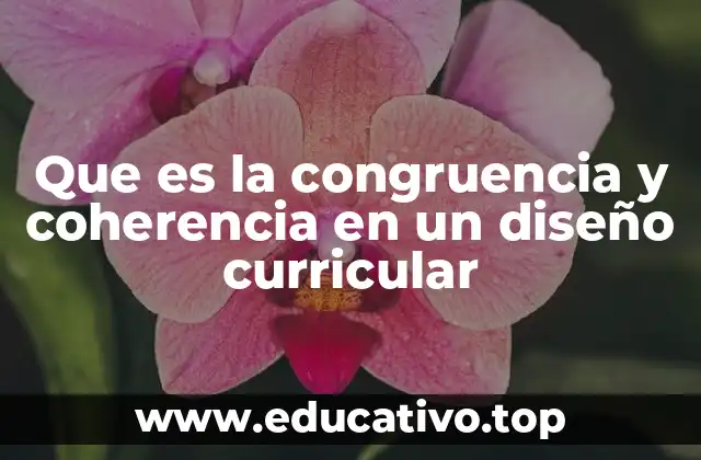 Que es la congruencia y coherencia en un diseño curricular